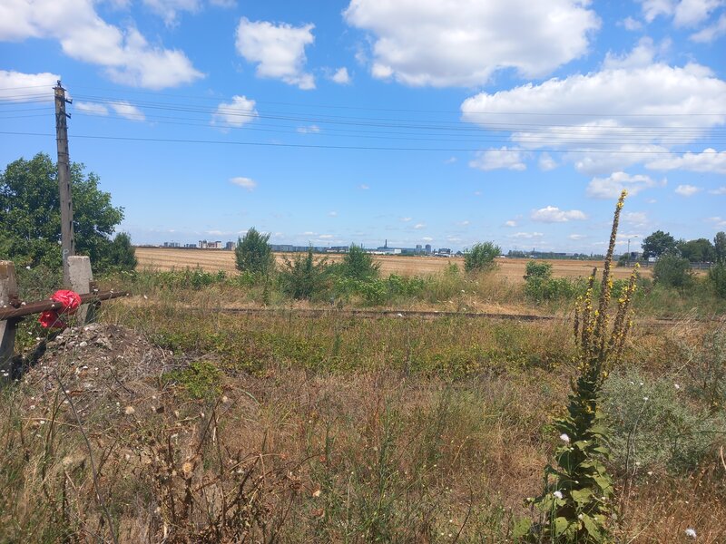 Jiava, CFR Arcom, langa baza sportiva